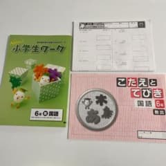 小学生ワーク　6年　国語　確認テストのサムネイル