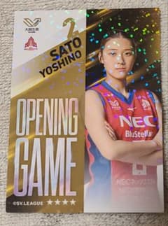 n*y様 佐藤淑乃　Vコレ　NECレッドロケッツ　女子日本代表のサムネイル