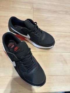NIKEエクシーのサムネイル