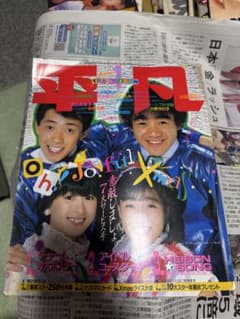 平凡 1983年1月号 昭和アイドル雑誌 荻野目慶子のサムネイル