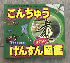 こんちゅうげんすん図鑑