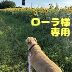 ローラ様専用ですのサムネイル
