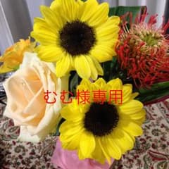 フェリシモ☆むむ様専用のサムネイル