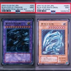 psa鑑定品　青眼の白龍　青眼の究極竜　レリーフ　連番　ワンオーナー psa鑑定品 青眼の白龍 青眼の究極竜 レリーフ 連番 ワンオーナー