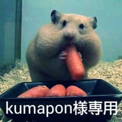 kumapon様専用です。のサムネイル