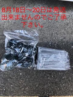 ザバーン用ピン(20cm)50本ワッシャー50枚のサムネイル