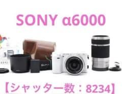 【シャッター数：8234】SONY α6000 ホワイト ダブルレンズキット シャッター数：8234】SONY α6000 ホワイト ダブルレンズキット - メルカリ