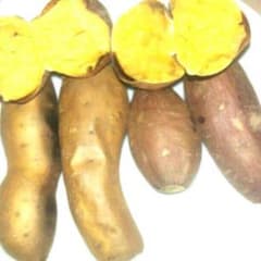 種子島産　安納芋のサムネイル