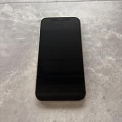 iPhone 12 Pro ゴールド256GBのサムネイル