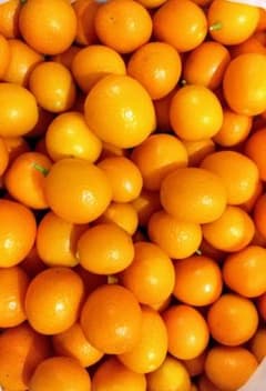 金柑　完全無農薬　約1.3kg以上のサムネイル