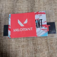VALORANT ステッカーセット (多分RAGEのイベント配布)のサムネイル
