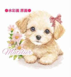 子犬の絵　チワプーの絵　水彩画　原画　癒し　動物の絵のサムネイル