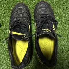 モナルシーダトレシューのサムネイル