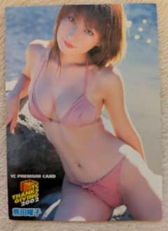 希少品】P-GIRL 熊田曜子ほか トレーディングカード 2枚セット - メルカリ
