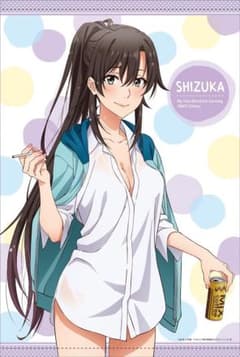 やはり俺の青春ラブコメはまちがっている　平塚静　等身大タペストリー　俺ガイル m28979134178_1.jpg?1727951670