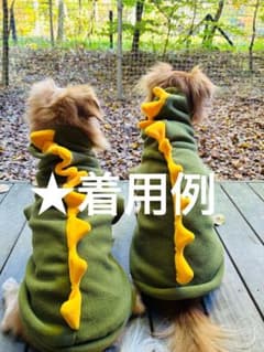 【はなっぺ様専用】年賀状 犬 着ぐるみ 恐竜 小型犬 XL 辰 正月 干支 秋冬のサムネイル