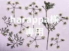 harappa様 リクエスト 5点 まとめ商品のサムネイル
