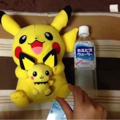 ピカチュウ ぬいぐるみDのサムネイル