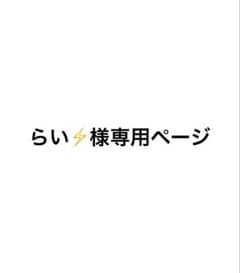 らい⚡様 専用ページのサムネイル