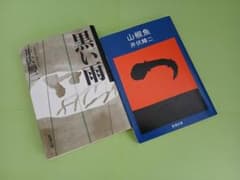 井伏鱒二 黒い雨 山椒魚 新潮文庫 2冊セットのサムネイル