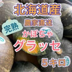 【北海道産 農家直送】これはオススメ！完熟かぼちゃ グラッセ 5キロのサムネイル