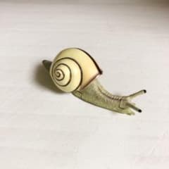 海洋堂カタツムリのサムネイル