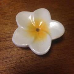 置物にも☆プルメリアのお香立てのサムネイル