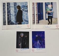 ころんくん 実写ブロマイド チェキ風ブロマイド まとめ売り - メルカリ