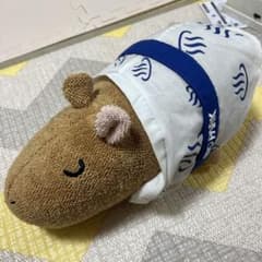 카피바라씨 2017년 간지 스타일과 [폐번품] 나가사키 바이오 파크 온천 카피바라
