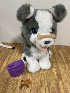 ファーリアル　子犬のリッキーのサムネイル
