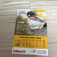 山川穂高選手 プロ野球カード セット - メルカリ