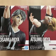 m29019229078_1.jpg?1756264327