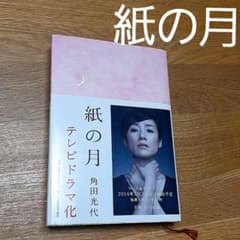 紙の月のサムネイル