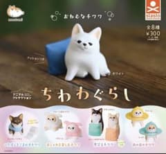 ちわわぐらし いたずらをごまかすチワワ チョコレートタンのサムネイル