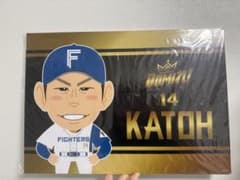加藤貴之選手　ファイターズガチャ　DOMIれ！スーパーレア　応援パネル 加藤貴之選手 ファイターズガチャ DOMIれ！スーパーレア 応援パネル