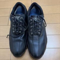Golden Pro GORE-TEX ゴルフシューズ ブラック25.5cm - メルカリ