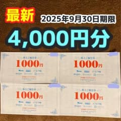 ジャパンクラフト 株主優待 4,000円分のサムネイル