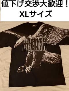 BREATH NEW ERA Tシャツ XL BADHOPのサムネイル