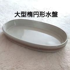 楕円形 大きめ水盤 華道 生け花 花器 写景 盆景 水石 花展 - メルカリ
