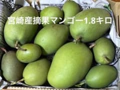 宮崎産摘果マンゴー1.8キロ - メルカリ