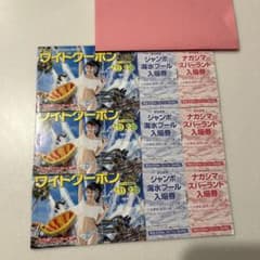ナガシマスパーランドワイドクーポン 18時までの購入で本日出荷加能のサムネイル