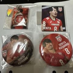 バレーボール日本代表　缶バッジ・キーホルダー　関田誠大選手のサムネイル