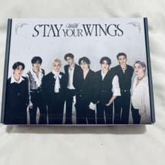 StrayKids STAY 6th Generation Kitのサムネイル