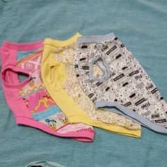 華美☆J様専用  ワンコの服 3枚のサムネイル