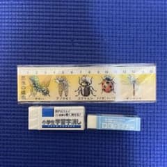 昆虫定規 15cm ＆ 消しゴム 2個セットのサムネイル