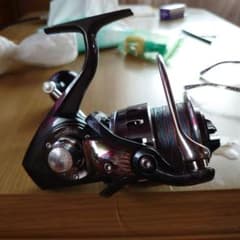 ダイワ　キャタリナ　４５００のサムネイル