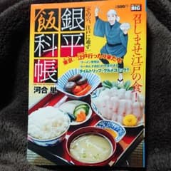 銀平飯科帳 その穴、江戸に通ずのサムネイル