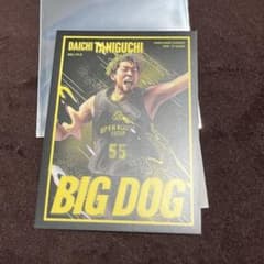 群馬クレインサンダーズ 2026-27ステッカー #55谷口大智 - メルカリ