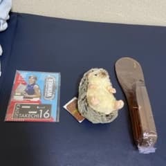 武知海青 ハリネズミ ベッド下道具のサムネイル