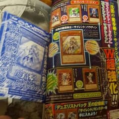 遊戯王 沈黙の魔道剣士 サイレントパラディンのサムネイル